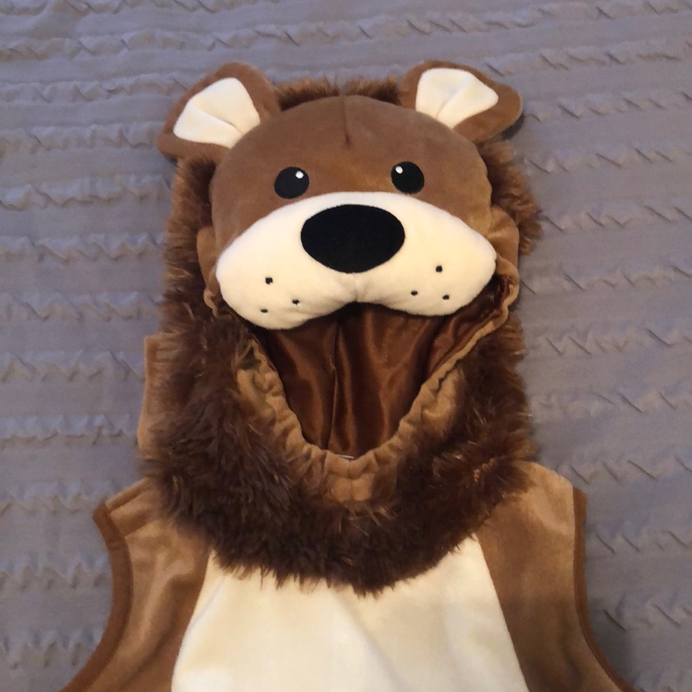 Infant lion Halloween costume